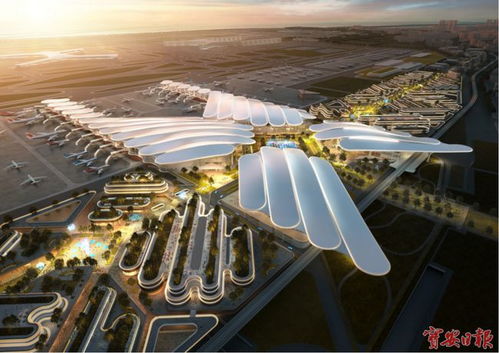 深圳机场东枢纽终于要来了 设计方案曝光,未来还要打造宏大的 地下城